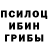 Псилоцибиновые грибы Magic Shrooms Alan K878