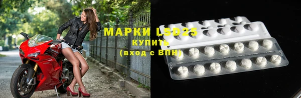 индика Гусев