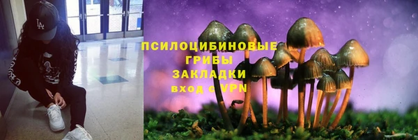 дмт Нефтекумск