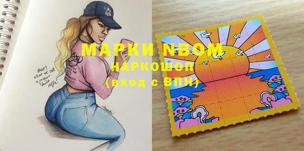 ешки Новодвинск