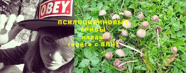 меф Нефтегорск