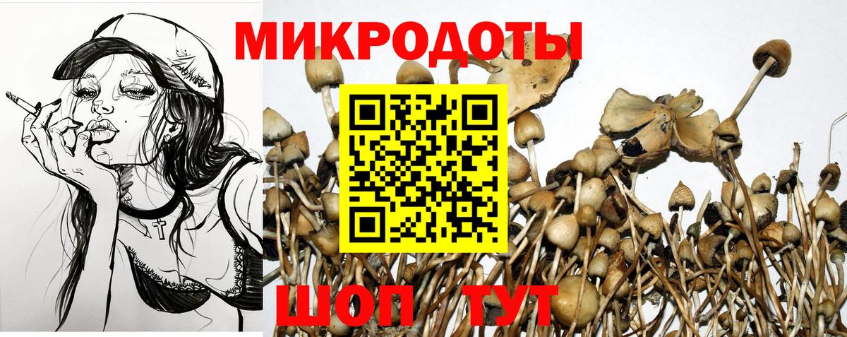 Псилоцибиновые грибы Magic Shrooms  Вход с VPN  Арзамас 