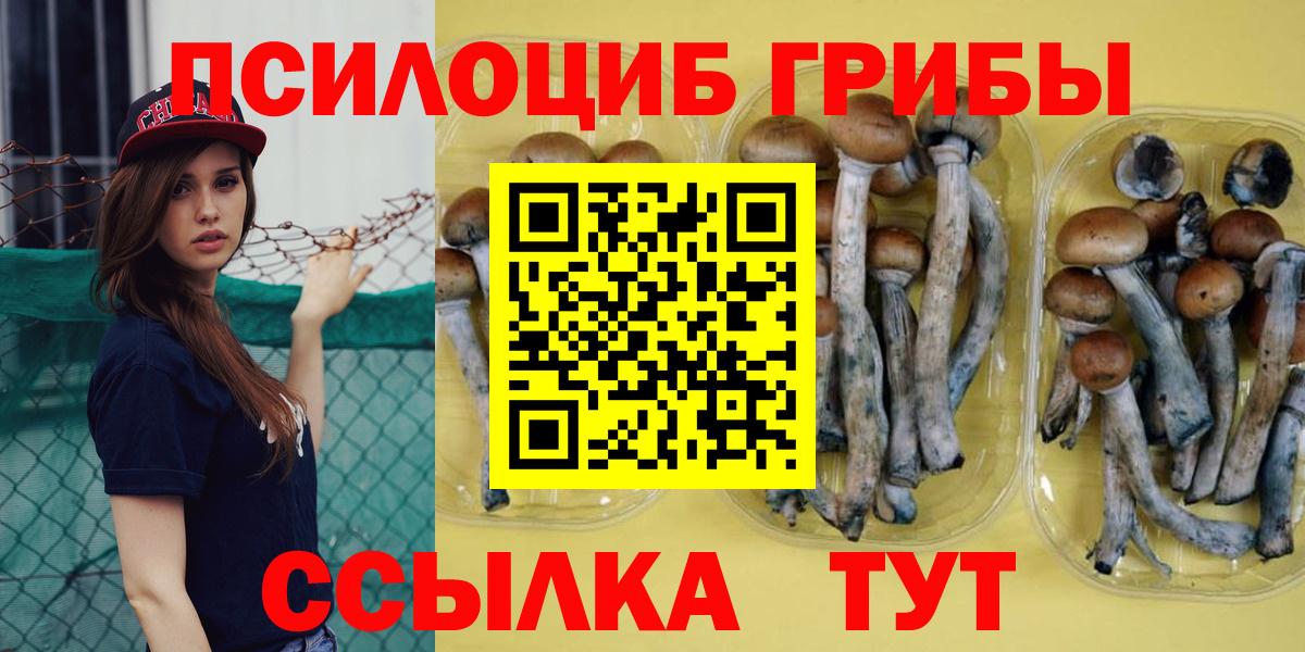Галлюциногенные грибы Psilocybe Арзамас